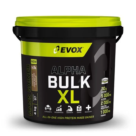 Alpha Bulk XL 4kg Chocolate Cake Batter